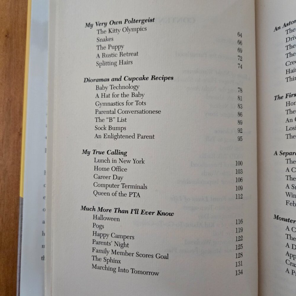 You Might As Well Laugh: Surviving the Joys of Parenthood by Sandi Kahn Shelton - Picture 6 of 10